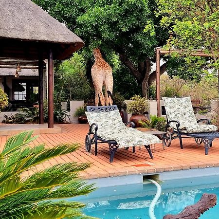Graceland Eco Retreat Магубасклоф Экстерьер фото