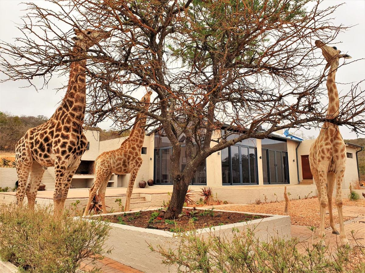 Graceland Eco Retreat Магубасклоф Экстерьер фото