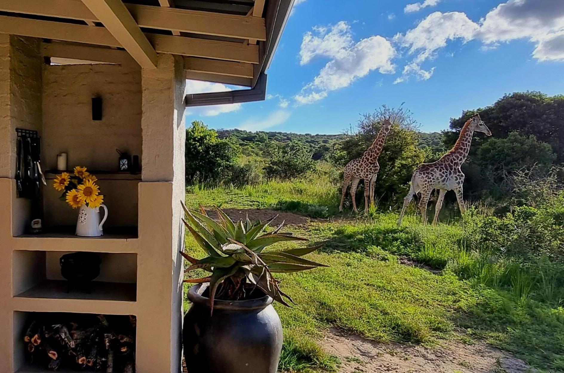 Graceland Eco Retreat Магубасклоф Экстерьер фото