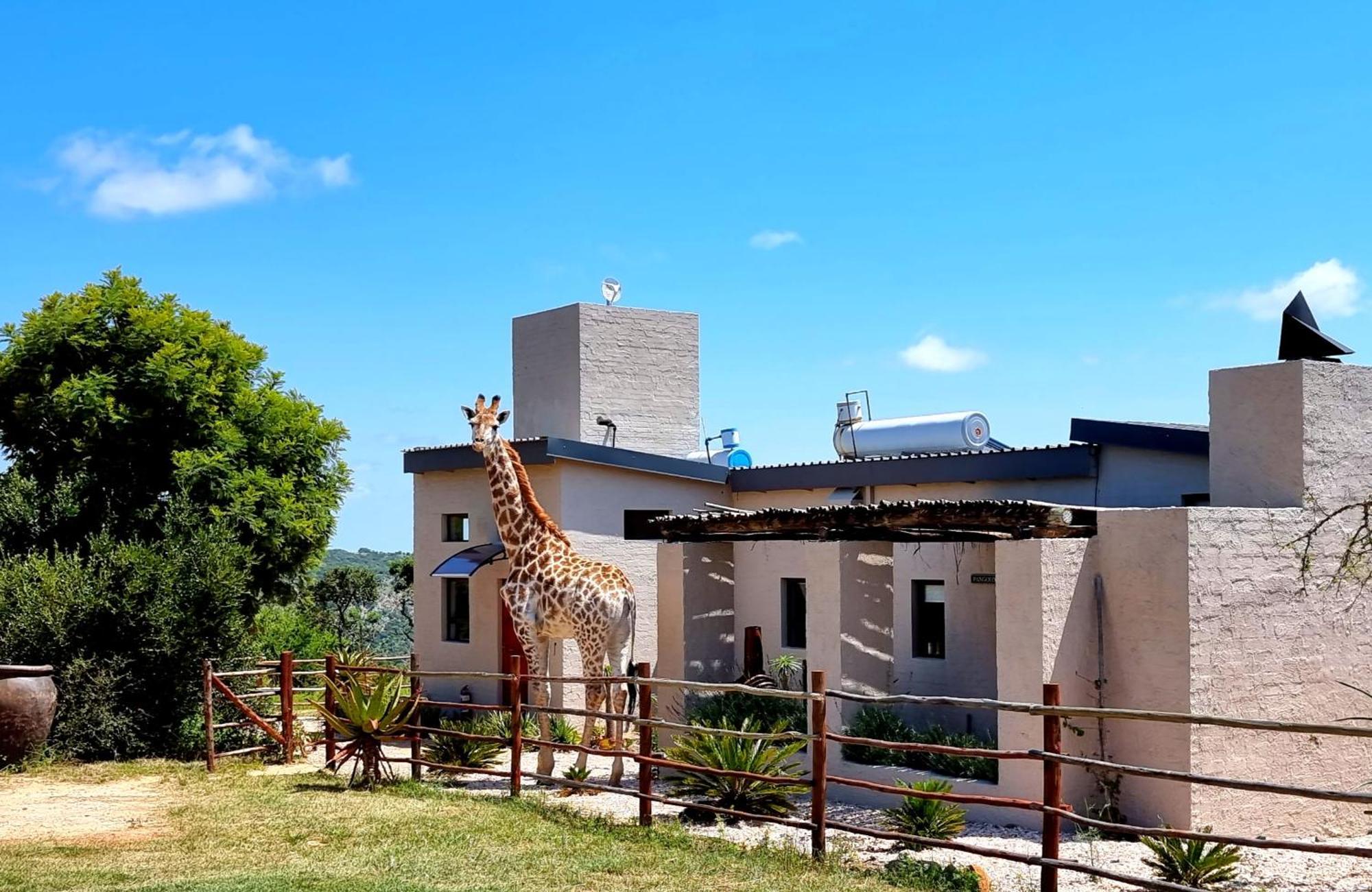 Graceland Eco Retreat Магубасклоф Экстерьер фото