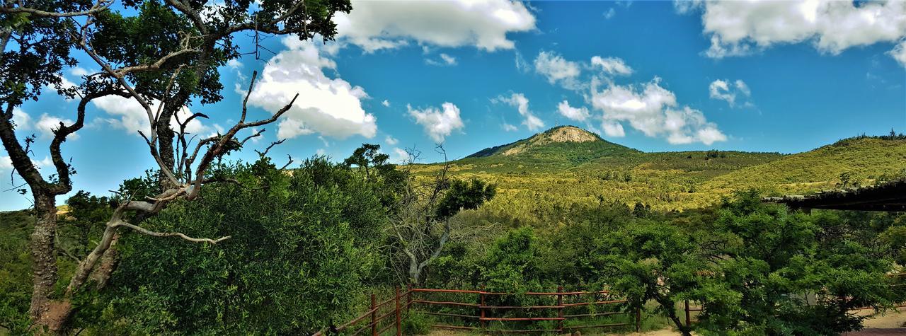 Graceland Eco Retreat Магубасклоф Экстерьер фото